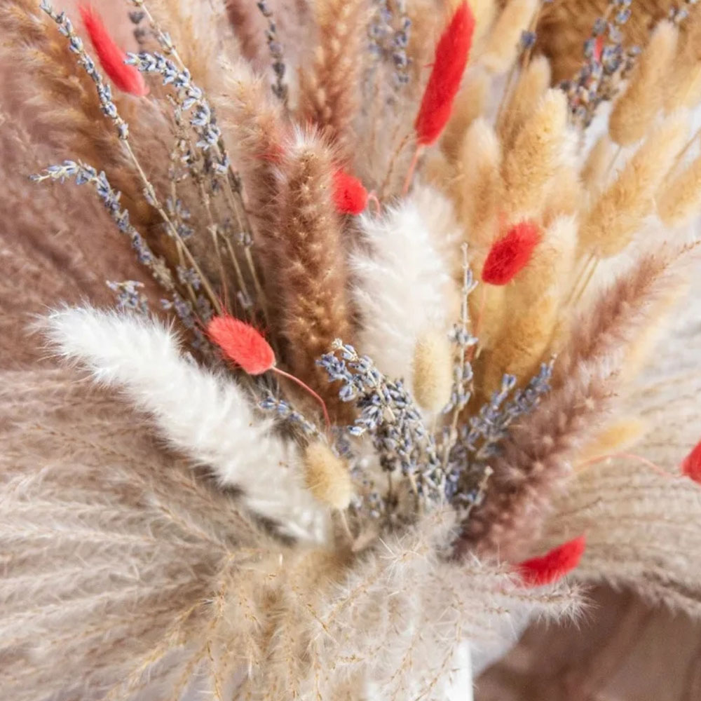 ช่อดอกไม้แห้งประดิษฐ์จากดอกแพม - Pampas Grass Decor บทวิจารณ์และราคา